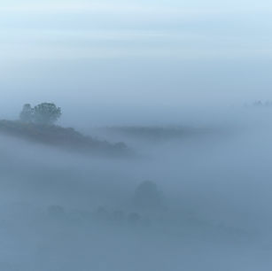 Oliver Stainer Photography, Godshill, New Forest National Park, Hampshire, England, Islands and Reefs