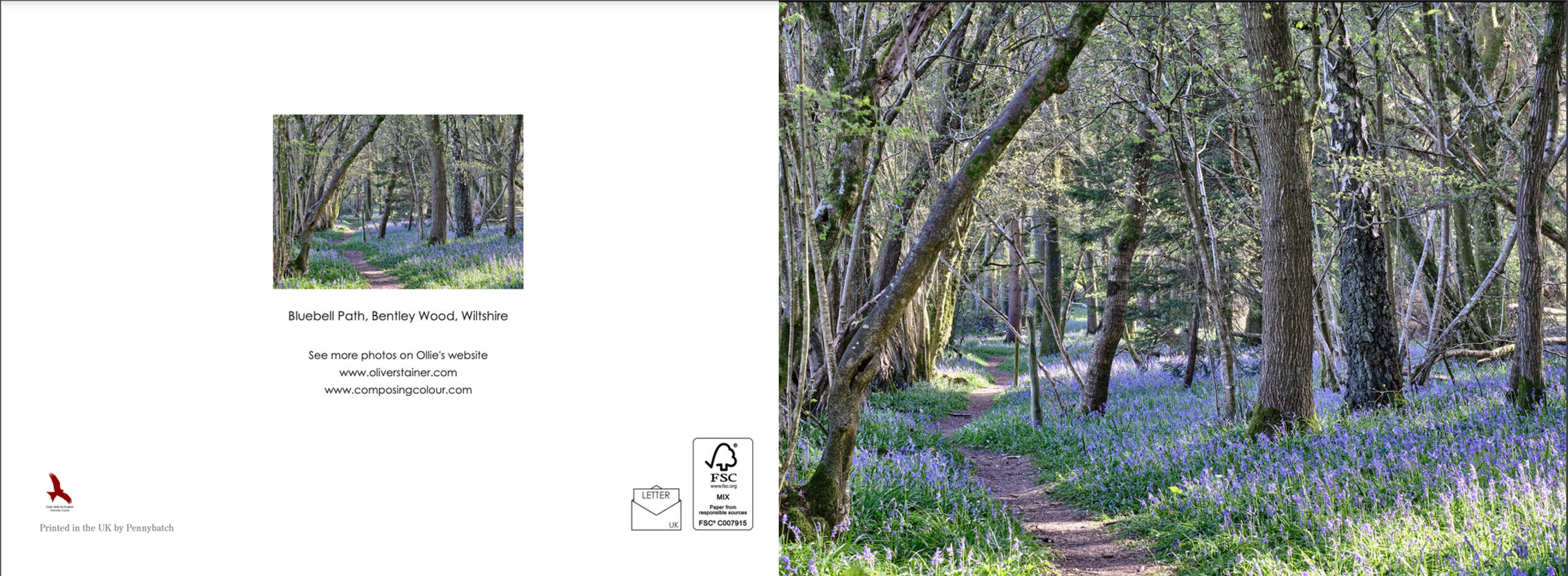 10 x Bluebell Path Cards - Bentley Wood, Wiltshire