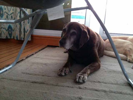 That Funky Smell....