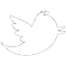 w-tbird
