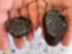 Our very first truffles