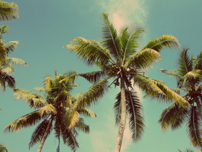 Our Natural Sunscreen: Melanin