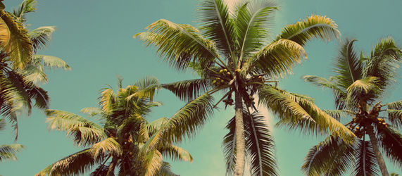 LA Tour meeting Wed, Feb 20