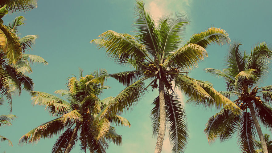 Die wichtigsten Versicherungen für die Urlaubsreise