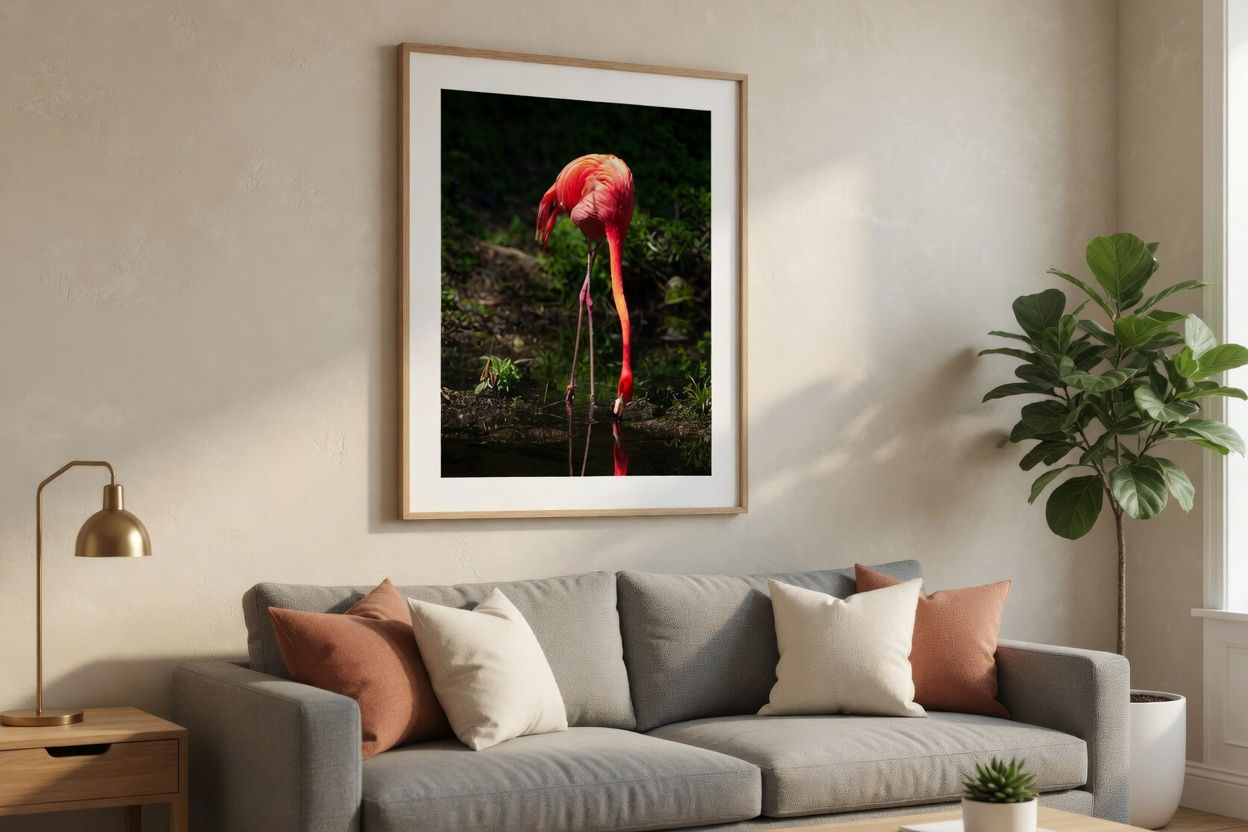 Professional Photo Prints (17x22)