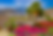 Palm Springs #jermaineantonio.png