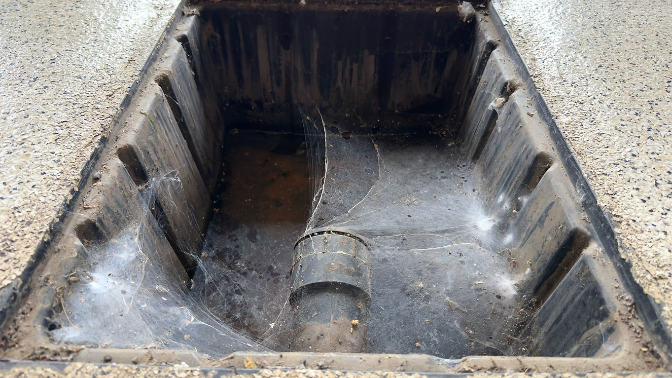 Pourquoi faire nettoyer son drain de garage __edited.jpg