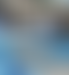 Sharjah Fish Market: A Complete Guide to Fresh Seafood and Local Life