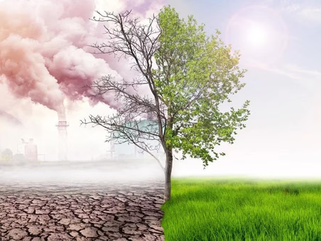 The Role of Remote Sensing in Climate Change Monitoring