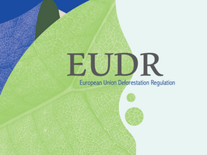 Understanding EUDR: 10 Key Facts on EU Deforestation Regulation