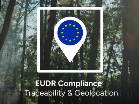 Understanding EUDR: Everything You Need to Know
