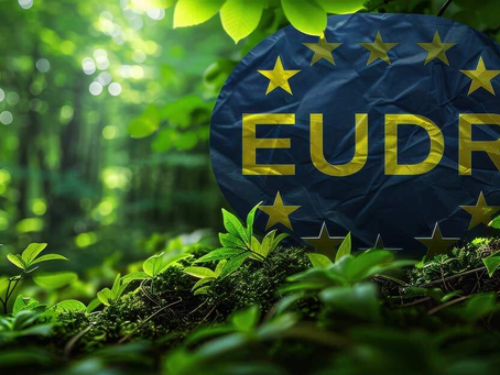 EUDR Deadline Extension and What It Means for Businesses
