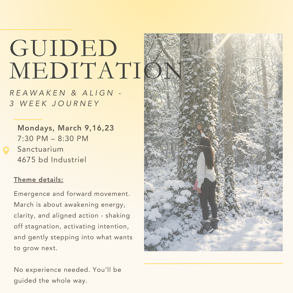 Guided Meditations with Pamela *March Package 