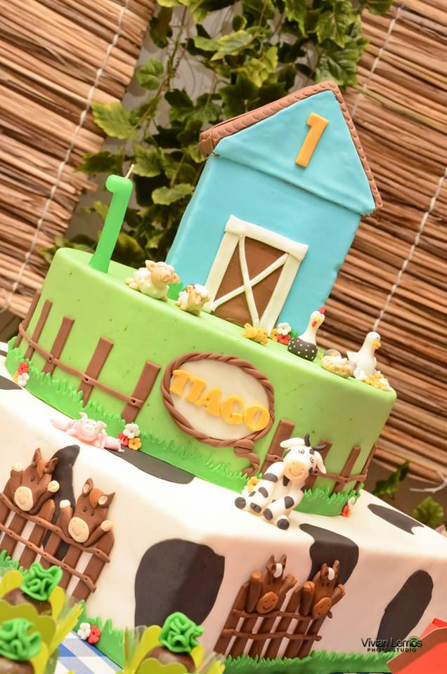 1 ano Thiago - 09_2013 (11).jpg