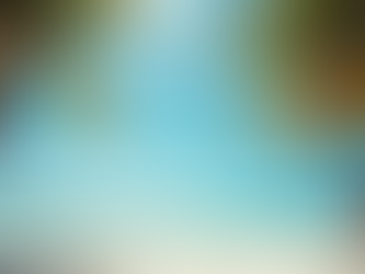 Tips for Canadians Moving to Florida Real Estate