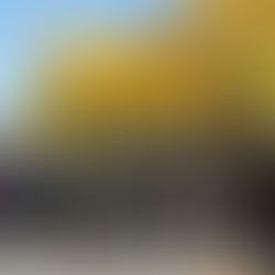 Orillia Commercial Real Estate: Market Outlook & Investment Opportunities