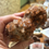 Thumbnail: Aragonite Specimen