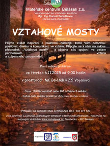 Vztahové mosty