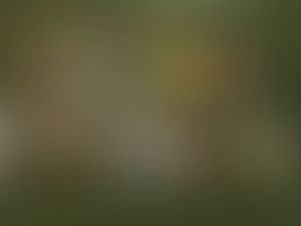 The Real Impact: Beyond Movement, Building Futures