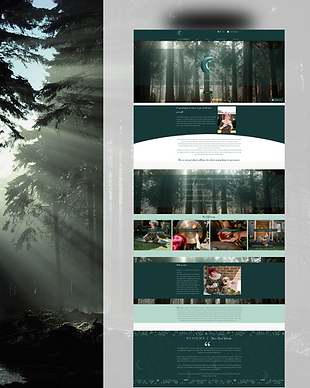 the wellbeing within and the design witch