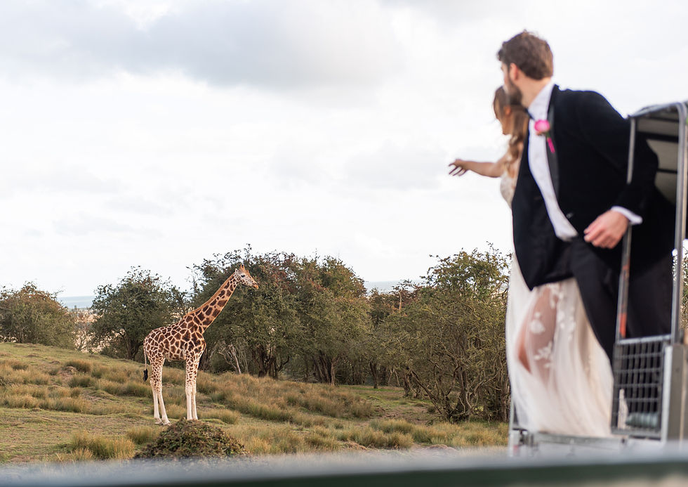 e-lope cobi and coco