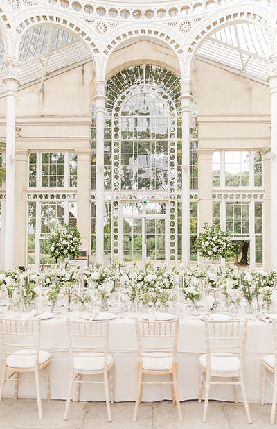 your cake journey with cobi and coco