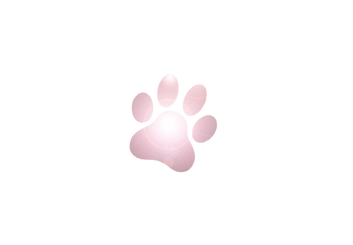 milton paws