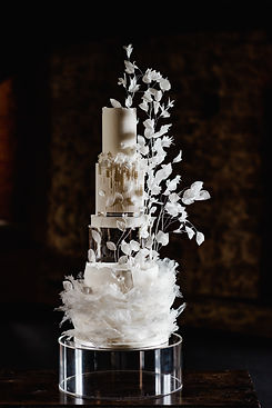 Gallery Cont Cobi and Coco