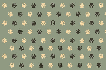 paw wallpaper grovehurst pet shop