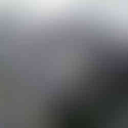 Traditional-style home featuring synthetic shake roofing, delivering the aesthetic of cedar with the benefits of advanced, weather-resistant materials.