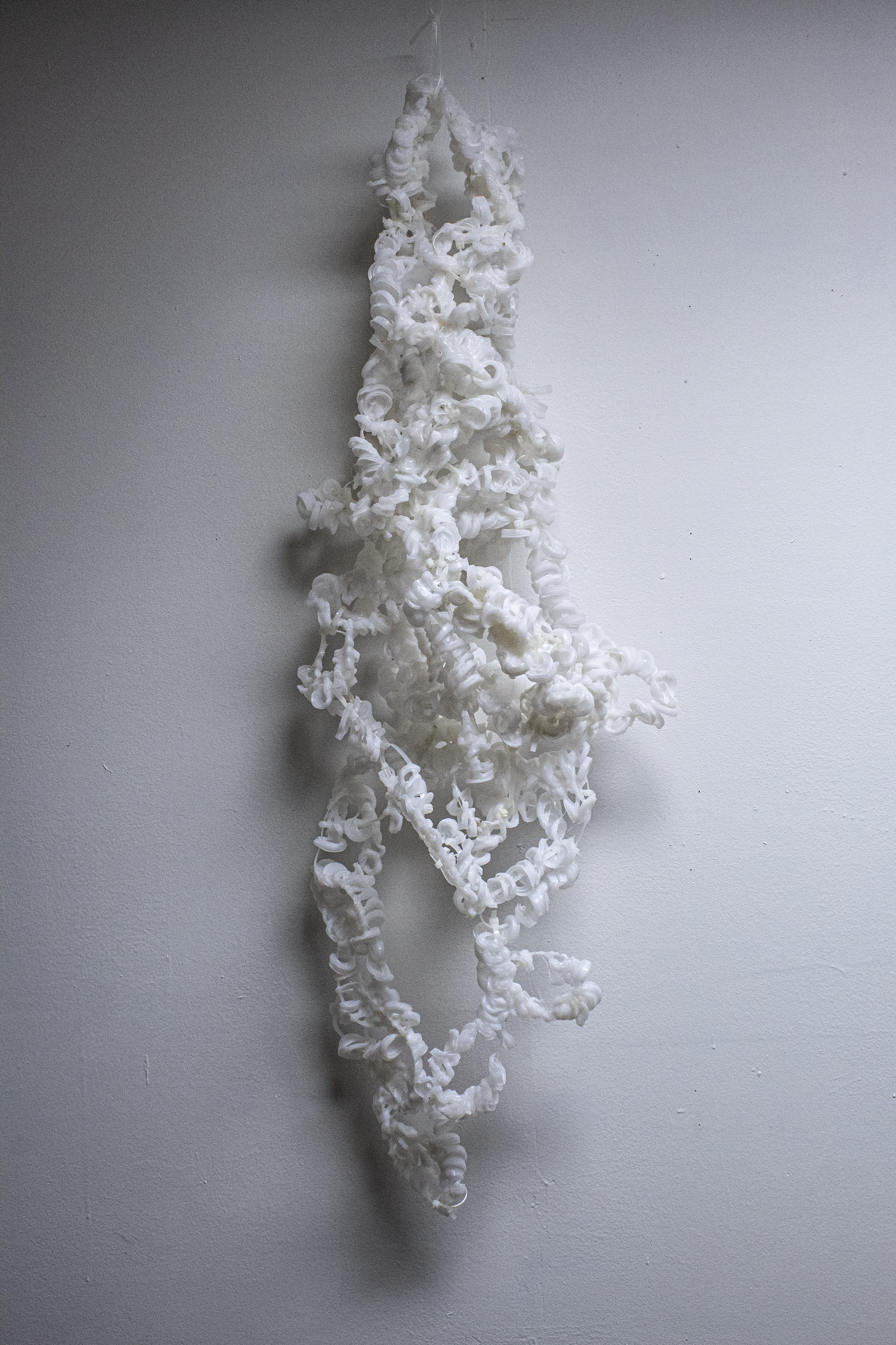 Polypropylene