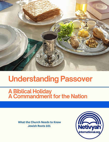 Copy of Pesach Guide Template - Presentation (Bound Document).jpg