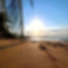 IMG_6552_edited.jpg