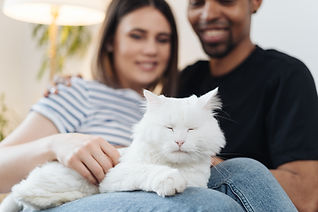 AdobeStock_436254264.jpeg