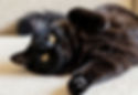 AdobeStock_1715869211.jpeg