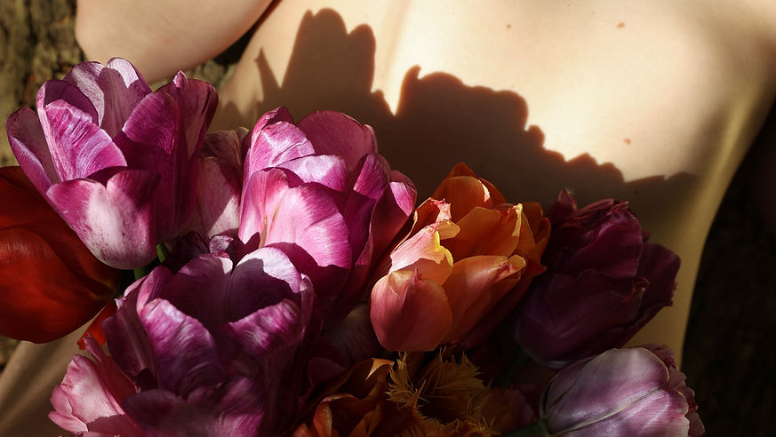 a colourful image of flowers and petals