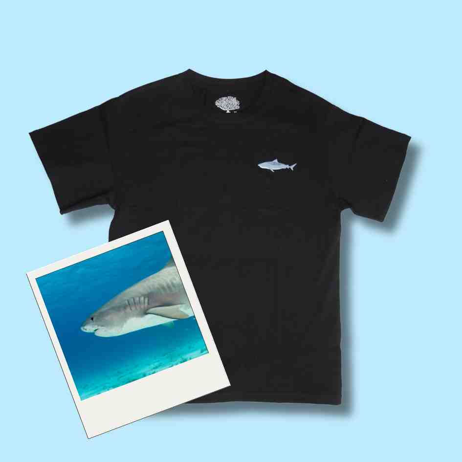 Tiger Shark T-shirt 