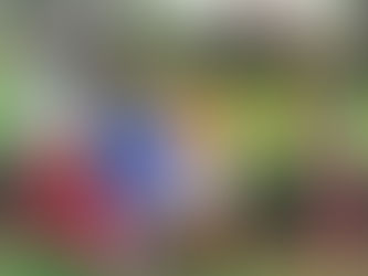 Chapter 5. In right hands!