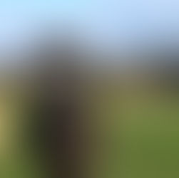 Ein Senior im Glück