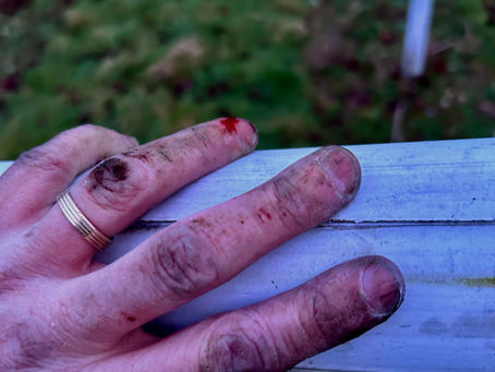 A Beginner's Guide to Vineyard Chores