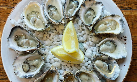 OYSTERS.jpeg
