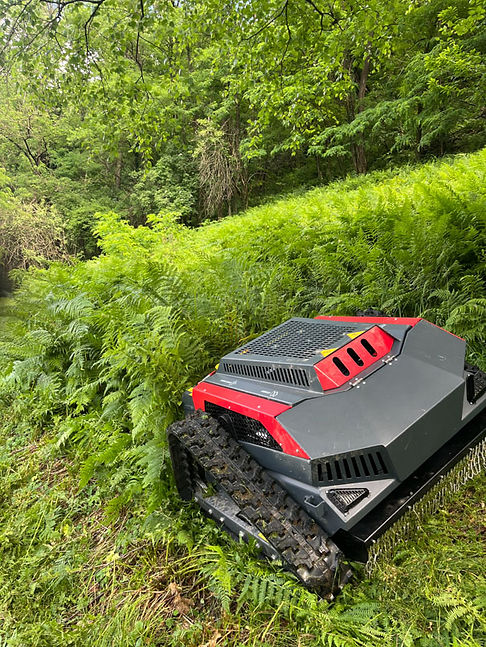 Sfalcio erba robot - Dt Multiservices-3.jpg