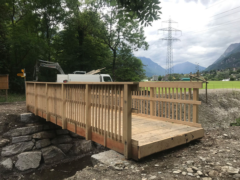Creazione ponte in legno per sentiero cantonale DT Multiservices Azienda Multiservizi Ticinese - 5