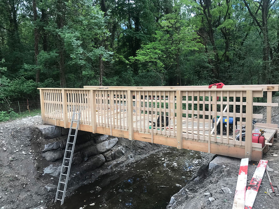 Creazione ponte in legno per sentiero cantonale DT Multiservices Azienda Multiservizi Ticinese - 2
