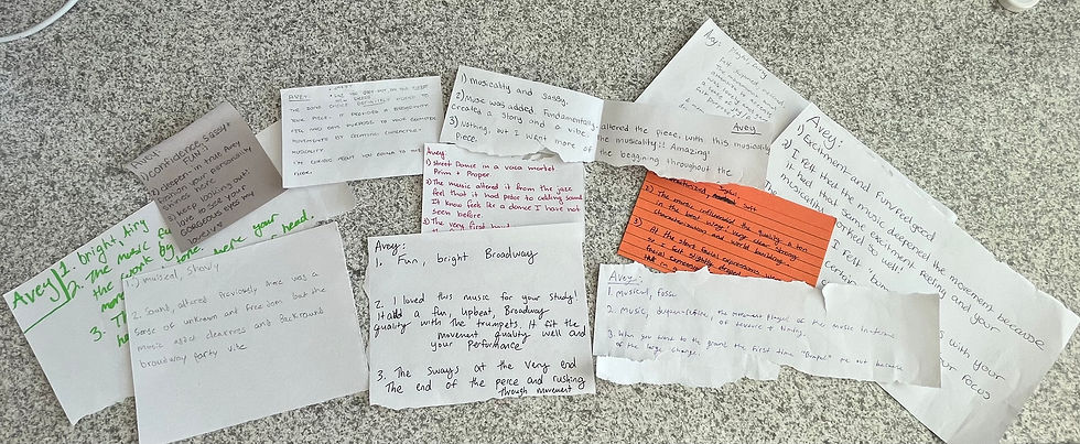 Feedback from peers that I used before the final product of the study.