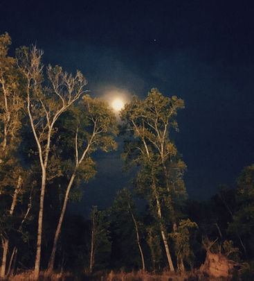 EA7A8972-0F40-46ED-B983-135E3A2923CB.jpeg