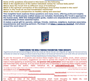 Fascinating Insights - Rabbi Yehoshua Alt - Bamidbar 5785 - English and French