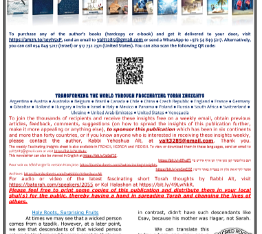 Fascinating Insights - Rabbi Yehoshua Alt - Devarim 5785 - English and French