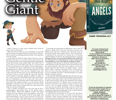 Fascinating Insights - Rabbi Yehoshua Alt - Mishpatim 5786 - English and French