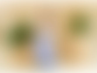 SCOTTSBURG HIGH SCHOOL PROM 2026